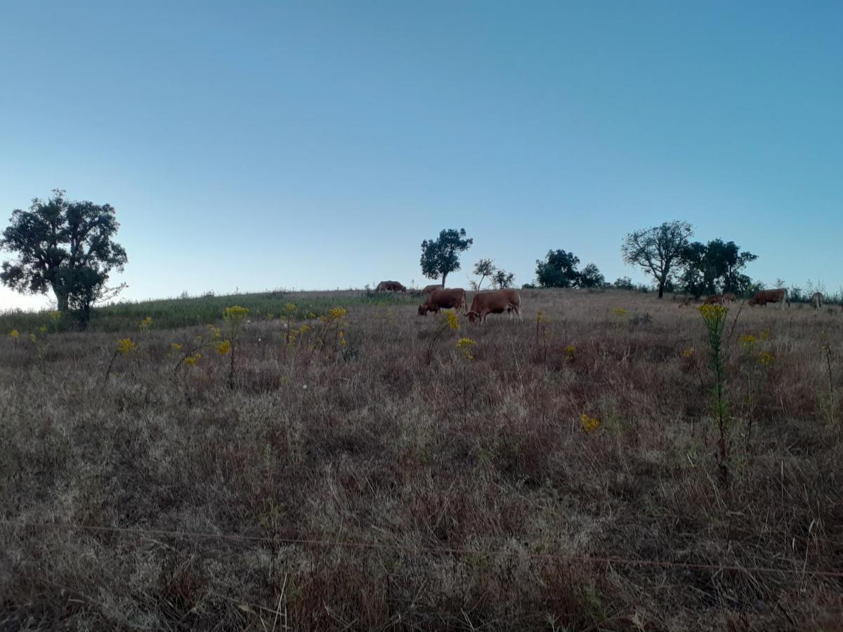 Monte Das Covas São Teotónio Εξωτερικό φωτογραφία
