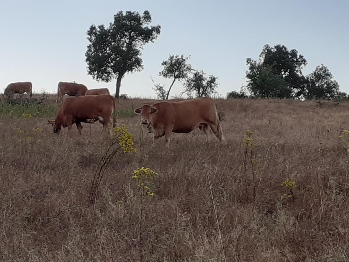 Monte Das Covas São Teotónio Εξωτερικό φωτογραφία